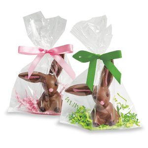 Long Eared Bunny