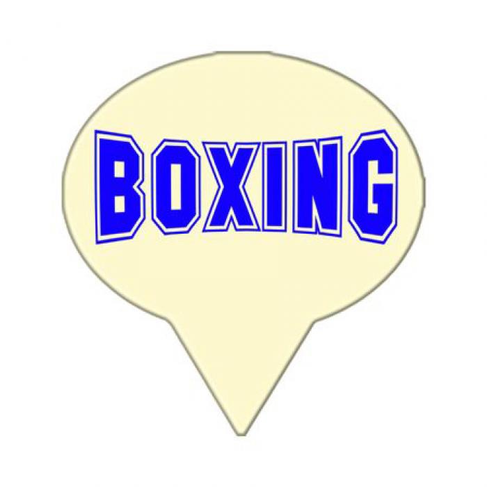 GE819-Boxing